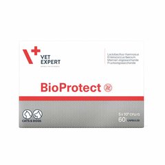 Харчова добавка Vet Expert BioProtect для котів і собак із порушеною шлунково-кишковою мікрофлорою 58440 фото