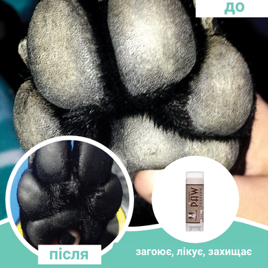 Бальзам для защиты лап Paw Tection Natural Dog Company 4.25мл стик ND-PAWT-01 фото