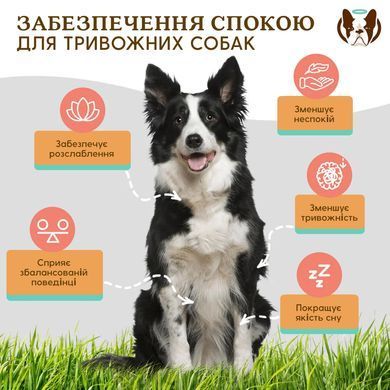 Заспокійливі вітаміни для собак Natural Dog Company Calming Supplement, 90шт в банці ND-CALM-90 фото