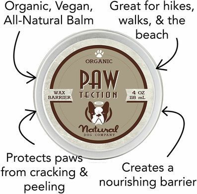 Бальзам для защиты лап Paw Tection Natural Dog Company 4.25мл стик ND-PAWT-01 фото