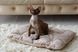 Подушка-підстилка Harley&Cho Tomas для собак і кішок HC-3400007 фото 10