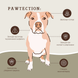 Бальзам для защиты лап Paw Tection Natural Dog Company 4.25мл стик ND-PAWT-01 фото 4