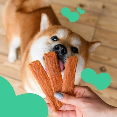 Ласощі дієтичні для собак з чутливим травлення Mavsy RABBIT chips з м'яса кролика, 100 г LSR02 фото