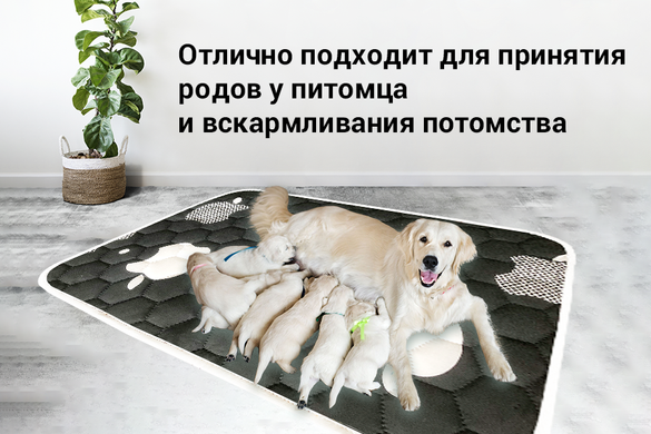 Многоразовая пеленка для собак AquaStop арт.11, 40х60 см AquaStop45 фото