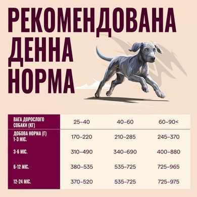 Сухой корм для молодых собак больших пород Carnilove Active Salmon & Turkey Junior Large Breed лосось и индейка CL_173700 фото