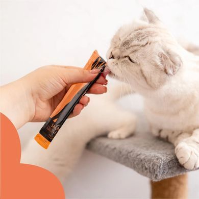 Ласощі кремові для котів Mavsy Creamy superfood SALMON WITH SCALLOP AND RED CAVIAR FOR CATS у вигляді кремоподібного пюре філе лосося з морським гребінцем та червоною ікрою, 15 г (5 шт) MAVSY04 фото