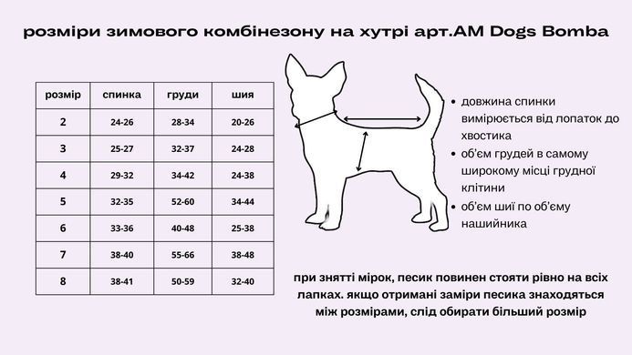 Зимовий комбінезон на хутрі Міккі AM-25 AM-25/2 фото