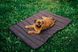 Прогулочный мат Harley&Cho Travel Roll Up mat для собак HC-3102852 фото 10