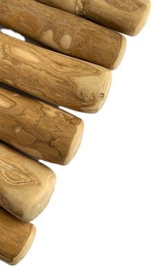 Палиця з кавового дерева для собак HealthyDoggo Coffee Stick розмір XS (до 5кг) CSHD-XS фото