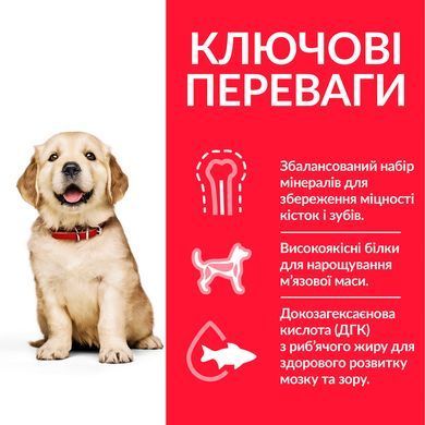 Сухий корм для цуценят великих порід HILL&rsquo;S SCIENCE PLAN Puppy Large Breed з куркою Hills_604386 фото