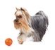 Liker 5 - мячик для щенков и собак мелких пород 6298 фото 4