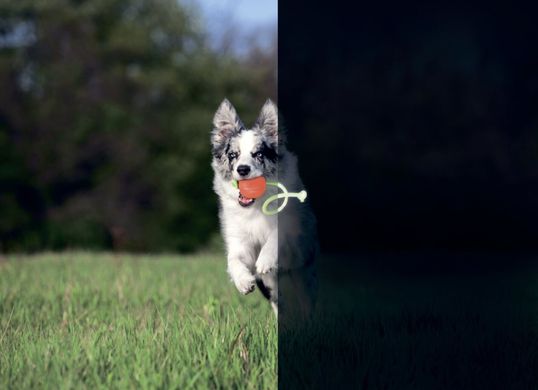Мячик со светящимся шнуром для собак Liker Lumi 6282 фото