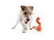 Іграшка для собак West Paw Tizzi Small Tangerine ZG060TNG фото 2