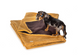 Флисовый плед Harley&Cho для собак и кошек HC-3102955 фото 4
