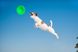 Двусторонняя летающая тарелка для собак Flyber 62175 фото 8