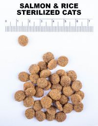 Сухий корм для стерилізованих котів Amity PREMIUM SALMON & RICE CATS STERILIZED із лососем і рисом 04GA000600.0013.0032 фото
