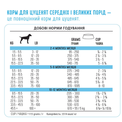 Сухой суперпремиум корм для щенков средних и крупных пород 1st Choice Puppy Medium and Large ФЧСЩСК2 фото