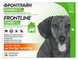 Капли Frontline Комбо для собак весом от 2 до 10 кг 159917 фото 1
