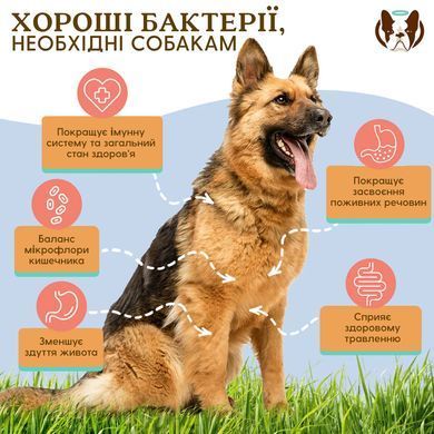 Вітамінний комплекс з пробіотиком SuperFlora Probiotic Natural Dog Company, 90шт в банці ND-PROX-90 фото