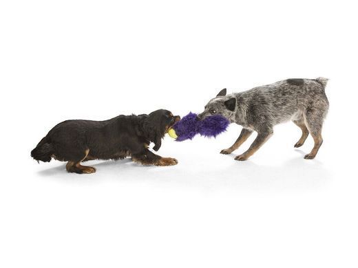 Іграшка для собак West Paw Sanders Purple Fur DD004PUF фото