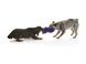 Іграшка для собак West Paw Sanders Purple Fur DD004PUF фото 3