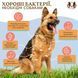Вітамінний комплекс з пробіотиком SuperFlora Probiotic Natural Dog Company, 90шт в банці ND-PROX-90 фото 2