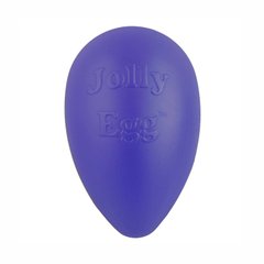 Іграшка для собак тверда Джоллі яйце мала фіолетова арт JE08P JE08P фото
