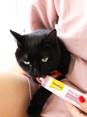 Паста GimCat Every Day Malt-Soft Paste Extra для кошек, выведение шерсти из желудка, 200 г G-417127/417943 фото