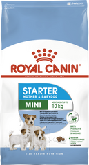 Первый твердый корм для щенков мини пород Royal Canin MINI STARTER, цена | Фото