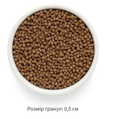 Сухий корм для кошенят Grandorf FRESH LAMB & SWEET POTATO KITTEN ягня з бататом Kitten04 фото