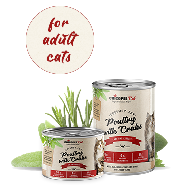 Консерви для котів Chicopee Cat Adult Gourmet pot Poultry & Crabs з м'ясом птиці і краба 019200 фото