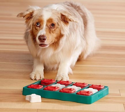 Интерактивная игрушка для собак Nina Ottosson Dog Brick no67333 фото