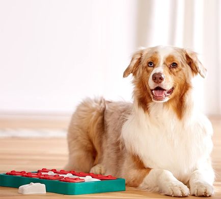 Интерактивная игрушка для собак Nina Ottosson Dog Brick no67333 фото