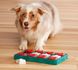 Интерактивная игрушка для собак Nina Ottosson Dog Brick no67333 фото 2