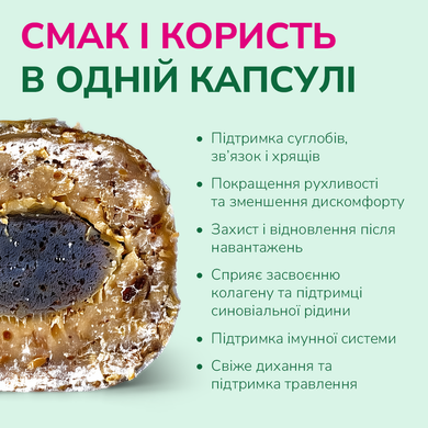 Функціональні ласощі для собак для суглобів LK Baits Pet Nutrigel Beef S-M з яловичиною і спіруліною (&Oslash; 15 мм), 150 г 7777003 фото