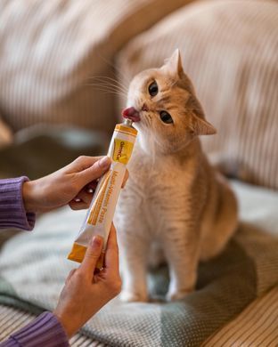 Мультивитаминная паста GimCat Every Day для кошек, 200 г G-421636/401881 фото