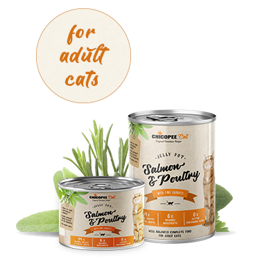 Консерви для котів Chicopee Cat Adult Jelly Salmon & Poultry з лососем і птицею 019224 фото