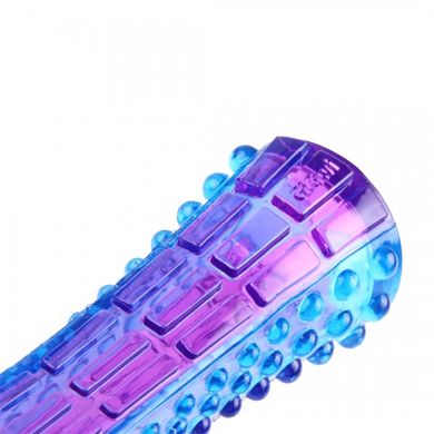 Игрушка для Собак Gigwi Push To Mute с Отключающимся Звуком Фиолетовый/Синий 20 см Gigwi6184 фото