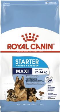 Первый твердый корм для щенков крупных пород Royal Canin MAXI STARTER 2994040 фото