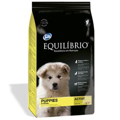 Сухой суперпремиум корм для щенков средних пород Equilibrio Dog Puppies Active, цена | Фото