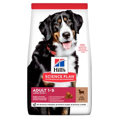 Сухой корм для собак крупных пород HILL’S SCIENCE PLAN Adult Large Breed с ягненком и рисом Hills_604373 фото