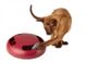 Інтерактивна іграшка для котів Zoofari Полювання на миш 285620868 фото 1