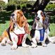 Шлея Chest Plate Chest Plate Harness фото 3
