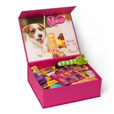 Подарочный бокс лакомств Mavsy L, для собак больших пород MVB003 фото