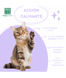 Заспокійливий нашийник для котів MenForSan Anti stress calming collar 54118MFG030630 фото 3