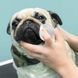 Серветки для гігієни складочок бульдога Eye Envy buldog wipes упаковка 60шт EEWB-60 фото 6