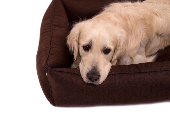 Лежак з посиленою поверхнею Harley&Cho Sofa для собак середніх і великих порід HC-3100617 фото