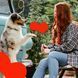 Жувальна паличка для собак Mavsy CHEESE STICK з сиром та куркумою MAVSY02S фото 6