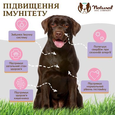 Вітамінний комплекс для імунітету проти алергії Aller-Immune Natural Dog Compan, 90шт в банці ND-IMMX-90 фото