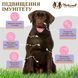 Вітамінний комплекс для імунітету проти алергії Aller-Immune Natural Dog Compan, 90шт в банці ND-IMMX-90 фото 2